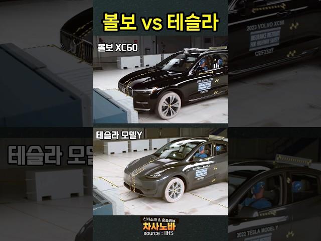볼보 vs 테슬라