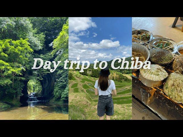 JAPAN VLOG #22 | Trip to Chiba Prefecture & Attractions, Seafood Feast, New Shoes, "Little Europe"