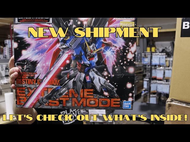 Huge Gunpla Unboxing and Restocks! Gundam Shipment