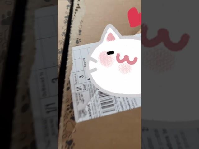 Unbox Foldy’s zooplus order with me #cat #scotish #zooplus