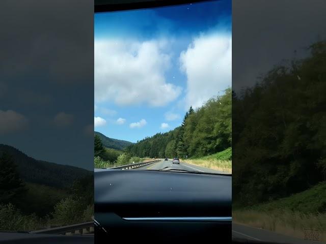 Tree lined Highways | Road-tripping | Labor Day