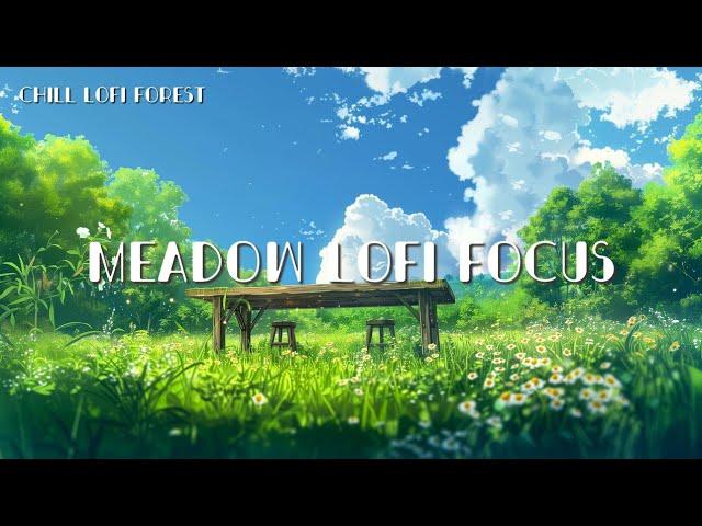 Meadow Lofi FocusChill Lofi Beats to relax/study/work