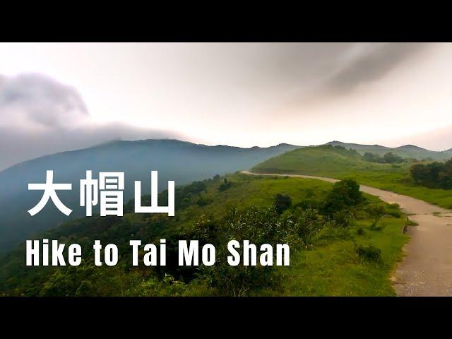 Hiking Tai Mo Shan 大帽山 via Ng Tung Chai Waterfall | Our Final Hiking Vlog in Hong Kong