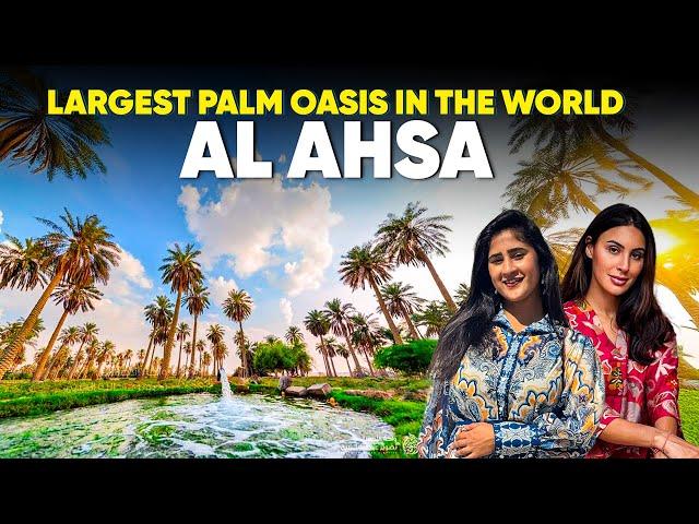 Exploring Al Ahsa: The World’s Largest Palm Oasis in Saudi Arabia | Mashable ME