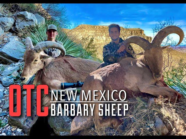 NM OTC Barbary Sheep Double | 30" Ram & 22" Ewe