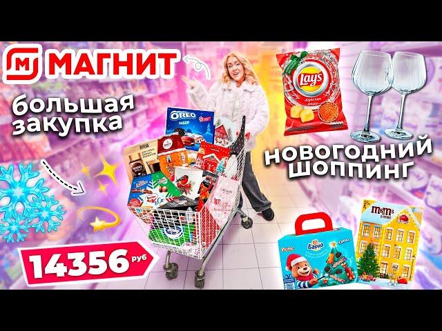 Большой Шоппинг в МАГНИТ! Новогодняя Закупка ПРОДУКТОВ, Подарков и Новинок Еды! ️