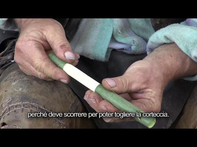 Video 18/19 Steinegg - Collepietra