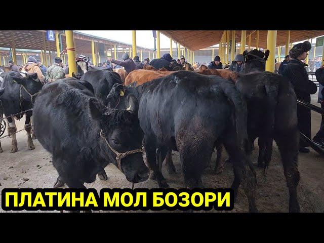 ПЛАТИНА МОЛ БОЗОРИ НАРХЛАРИ 