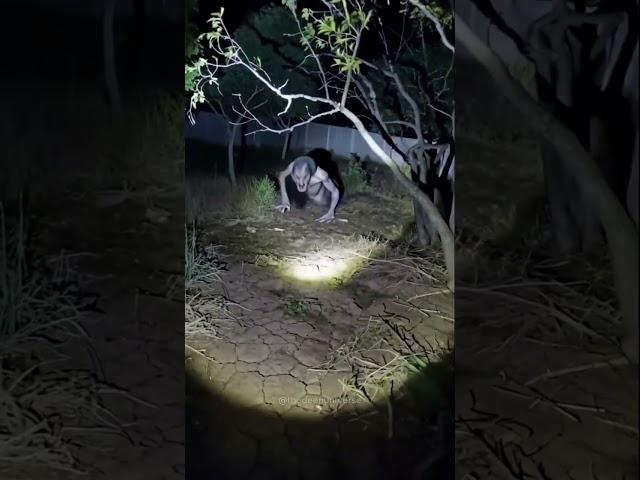 What hunts in the moonlit shadows? #creaturefeature #nightmarefuel #skinwalker