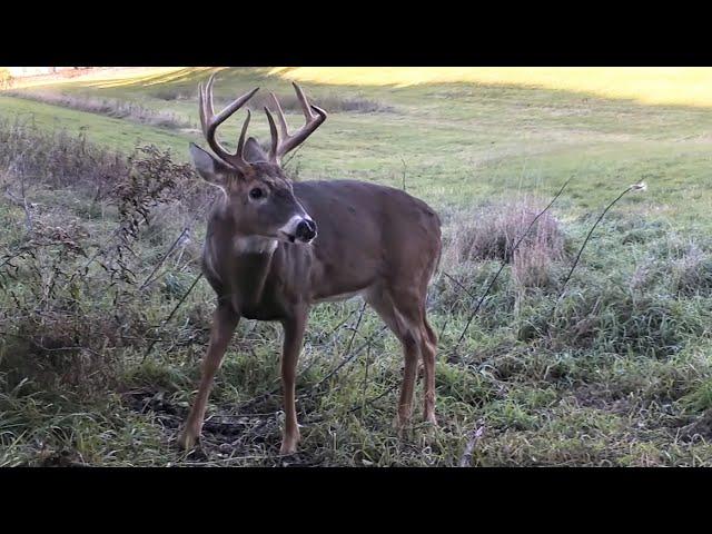 How To Create A Buck Vacuum On Your Small Parcel