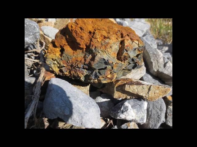 Golden Daisy Mining Claim
