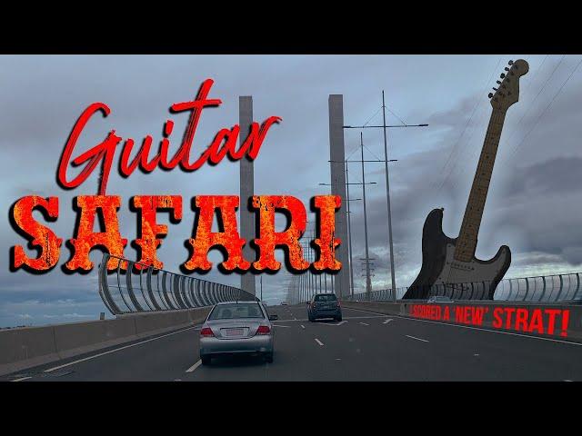 Guitar Safari - my "new" 1988 Fender Stratocaster (Eric Clapton vibes)