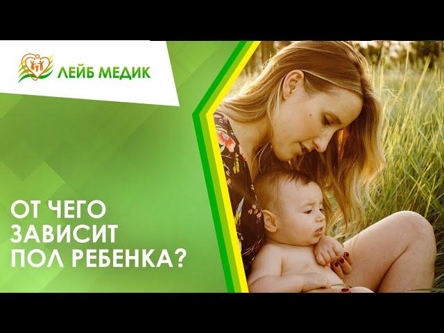  От чего зависит пол ребенка?