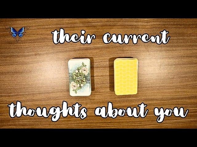 ️‍️‍🩹 WHAT ARE THEIR CURRENT THOUGHTS?  Timeless Tarot Reading 