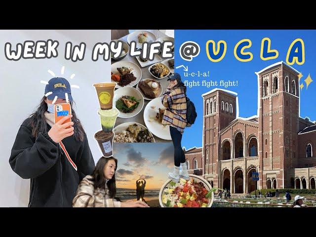 a week in my life @ ucla ! 미국 유씨엘에이 학생 VLOG 