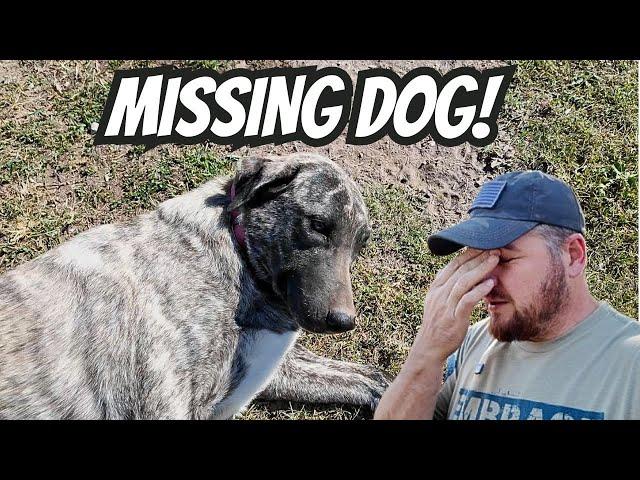 EMOTIONAL VIDEO | Guard Dog Kora LEFT The Farm | This Changes The Future of Our Farm