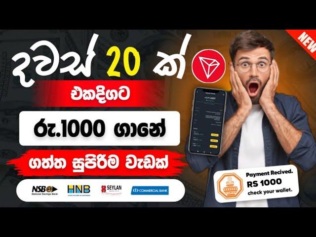 how to earn e money sinhala | online business sinhala | usdt earning app 2025 | online salli hoyamu