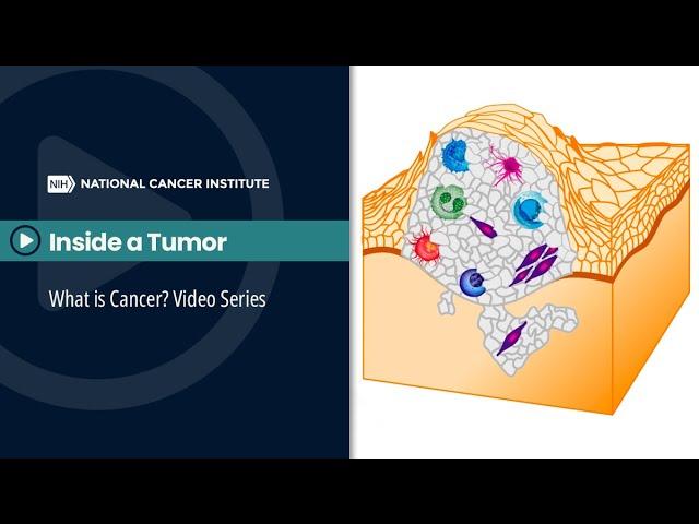 Inside a Tumor: What is Cancer? Video Series