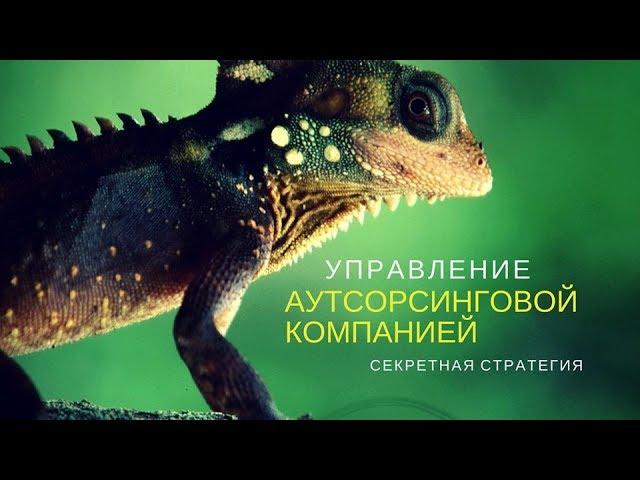 Бизнес бухгалтерские услуги. Что предложить клиенту