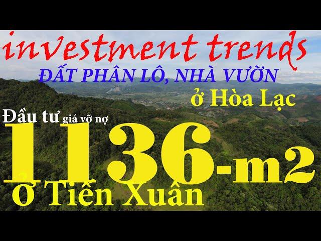 Đầu tư đất nền phân lô Hòa Lạc Hà Nội có 1136m2 ở Tiến Xuân | Chuyên gia bất động sản
