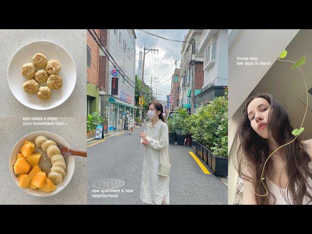 Korea vlog  Moving to a new apartment, grocery shopping & prices in Seoul, homemade food