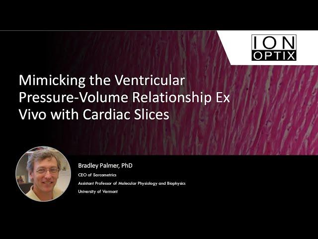 Mimicking the Ventricular Pressure-Volume Relationship Ex Vivo with Cardiac Slices
