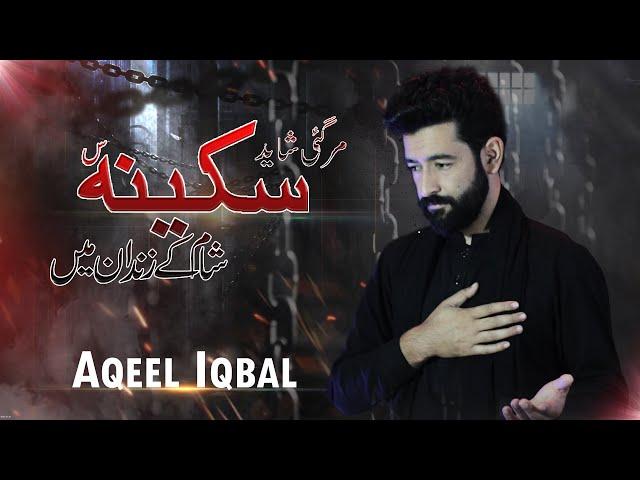 Hogaye Azad Qaidi - Noha Arbaen 2023 - Aqeel Iqbal