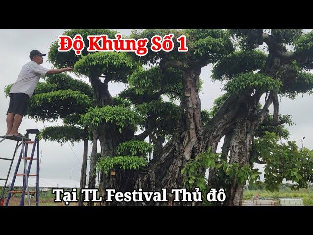 Giật mình với TP Sanh cổ vĩ đại nhất TL festival thủ đô