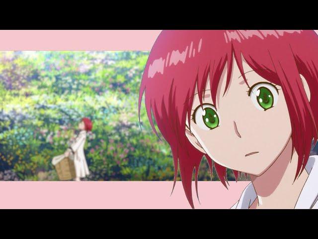 For Shirayuki Fans