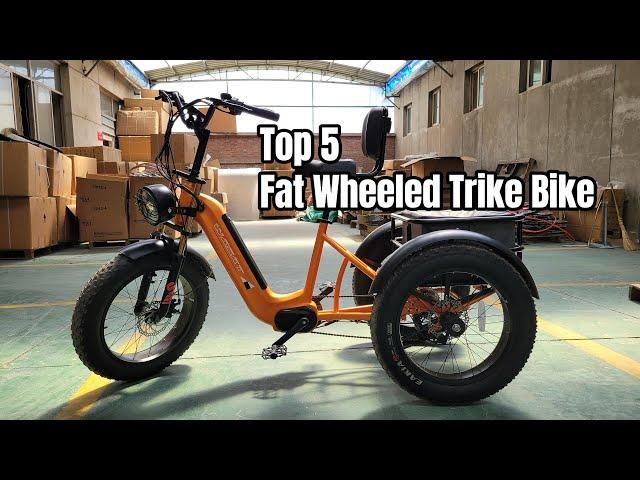 Top 5 Best Fat Wheeled Trike Bike Under $1000 -No.1 | Adult Tricycles with Large Basket for Riding