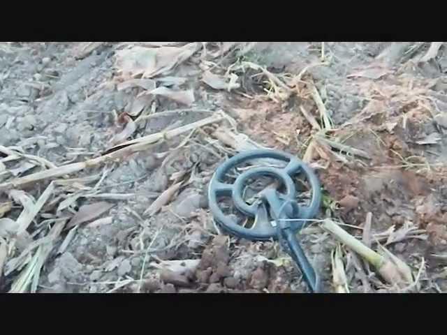 metal detecting new yorks colonial past