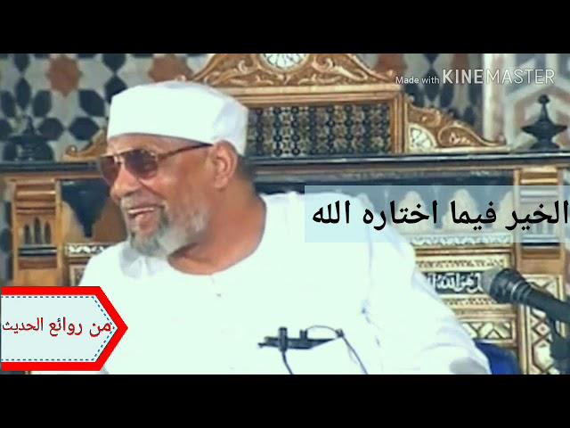 الخير فيما أختاره الله | الشيخ محمد متولي الشعراوي