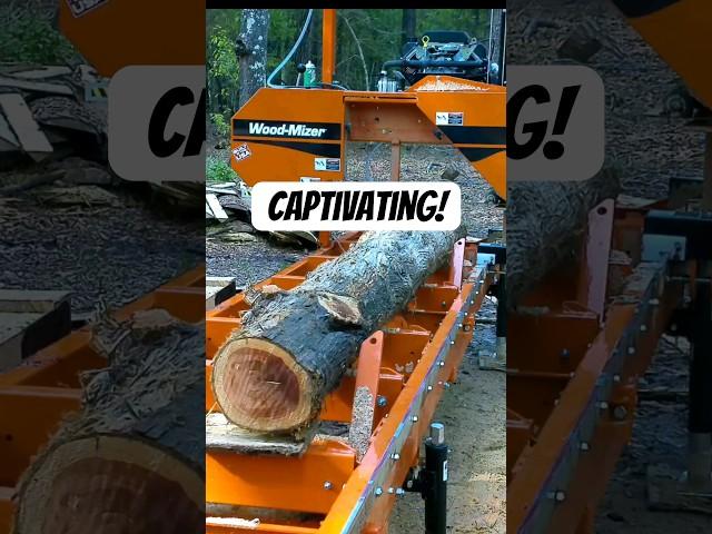Why I Chose a Wood-Mizer LT15