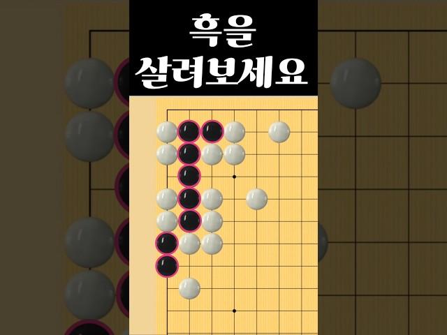 쉬운 바둑 사활 - 절묘한 흑의 묘수