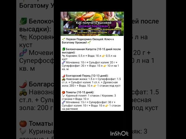 1 подкормка овощных культур.