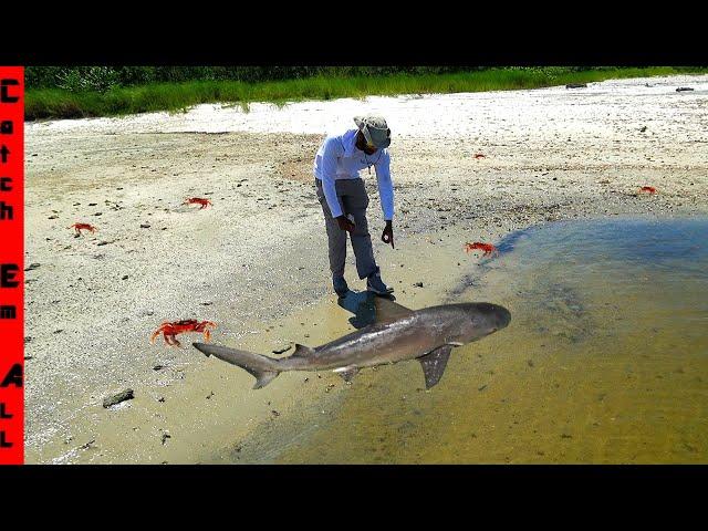 FISHING in CRAB ISLAND's Hidden SHARK LAKE!