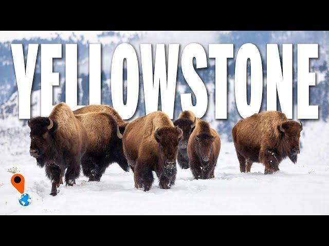 YELLOWSTONE National Park | Full Travel Guide!