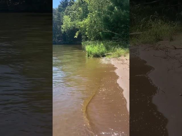 Magical memories, Wisconsin River #nature #adventure #water