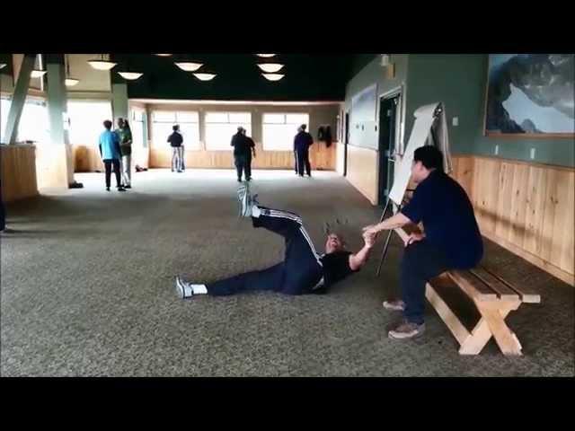 Master Henry Wang Tai Chi Camp 2015 - Internal Power