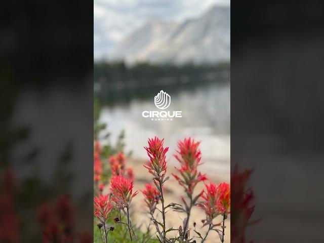 Young Lakes Trail Running | Tuolumne Meadows, Yosemite