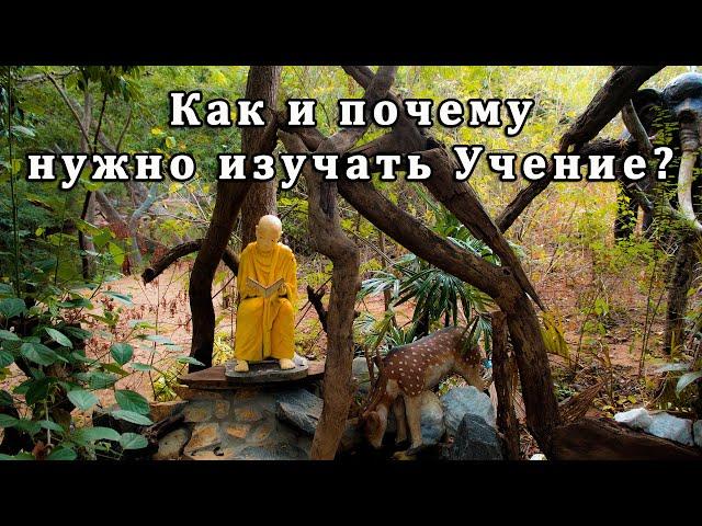 Как и почему нужно изучать Учение?