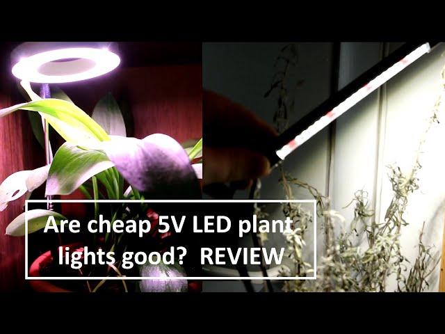 REVIEW Are cheap LED plant lights any good?