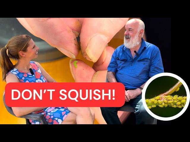 Why you shouldn't squish APHIDS or CATERPILLARS | "Everyone makes that mistake" - Dr Paul Horne