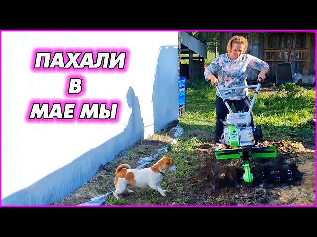 Май пролетел, как один день