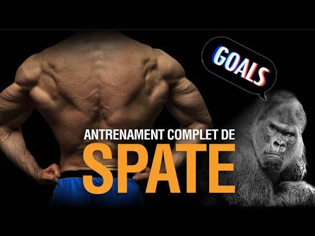 Antrenament Complet De Pull: Spate, Trapez Si Biceps