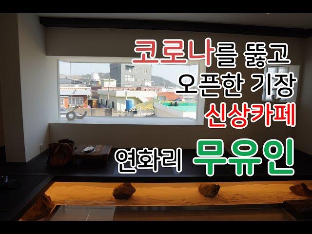 [4K] 코로나 뚫고 오픈한 기장 연화리 신상카페 [ 무유인 ] / 부산 카페 투어 맛집 먹방 호박식혜 추천