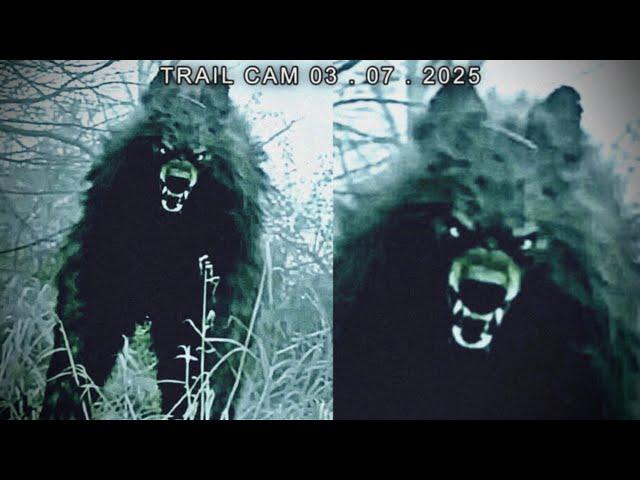 Most Disturbing Creatures Caught on Trail Cam 2025