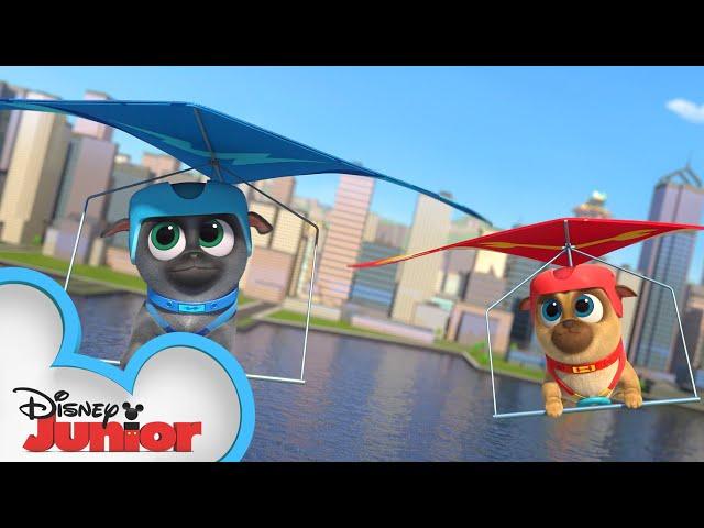 New Year, New Bob | Puppy Dog Pals | @disneyjr