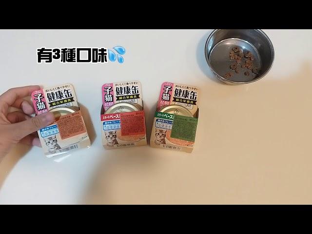 「娜|優格宮」幼貓不吃飼料怎麼辦?慢慢改最好