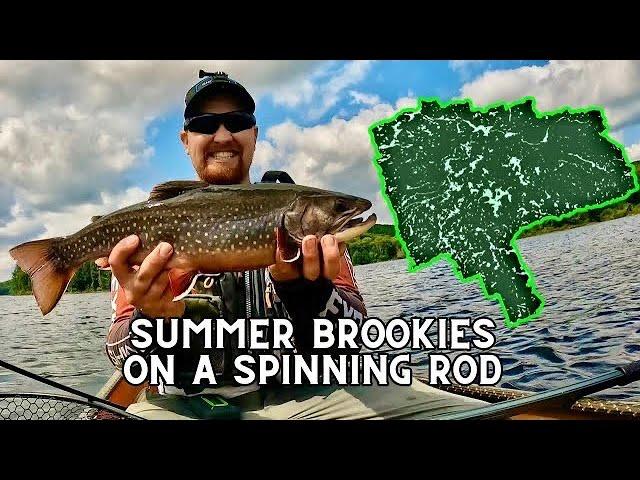 Solo Camping in Algonquin Park - How to Catch Summer Brook Trout